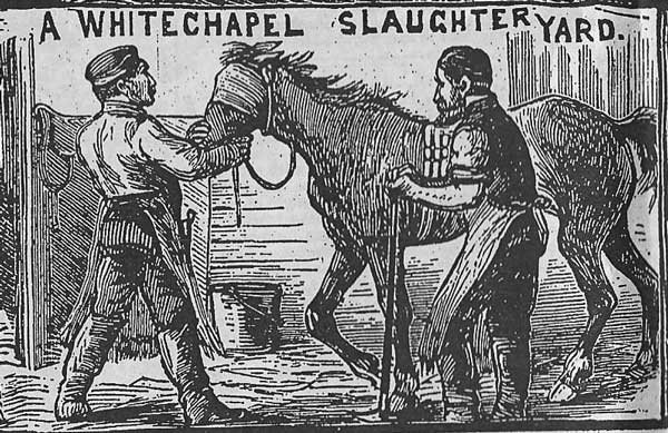 A press sketch showing one of the slaughterhouses in Whitechapel.