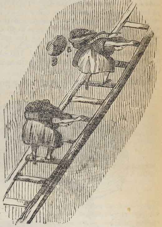 Two girls carry coal on their backs as they climb a ladder.