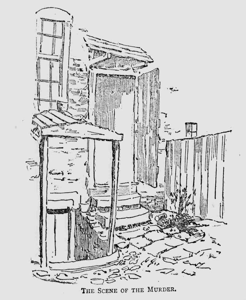 An illustration showing the backyard of 29 Hanbury Street.